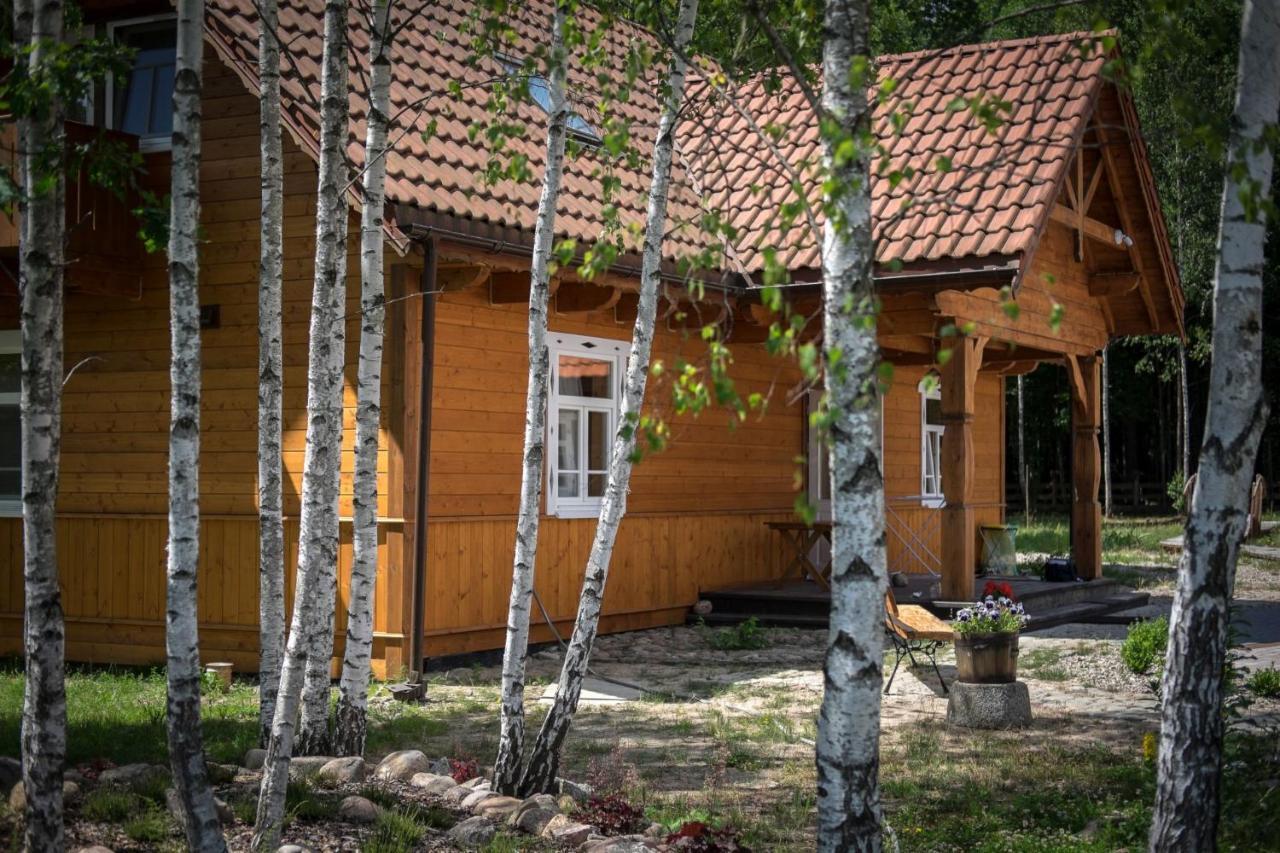 Miodowa Kolonia Bed & Breakfast Bialowieza Bagian luar foto